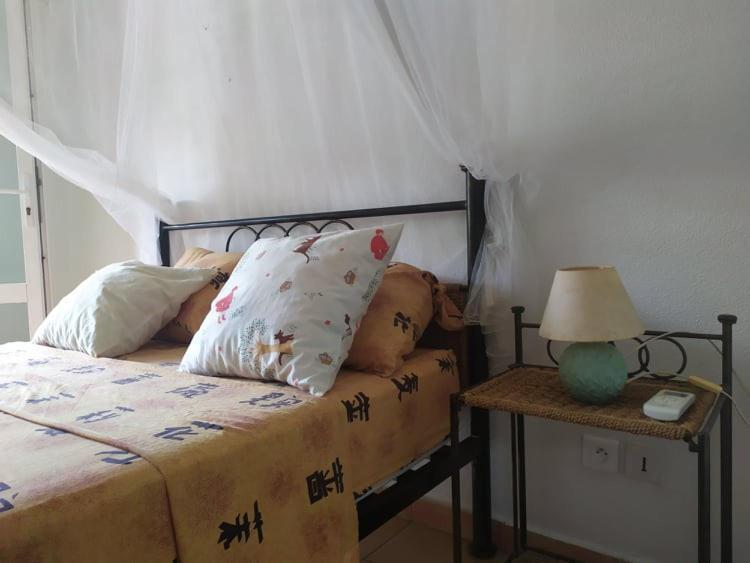 Charmant Appartement En Bord De Mer Avec Piscine Gourbeyre Bagian luar foto